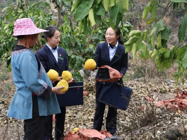 邮储银行黔南州分行：金融助力景区商业“活